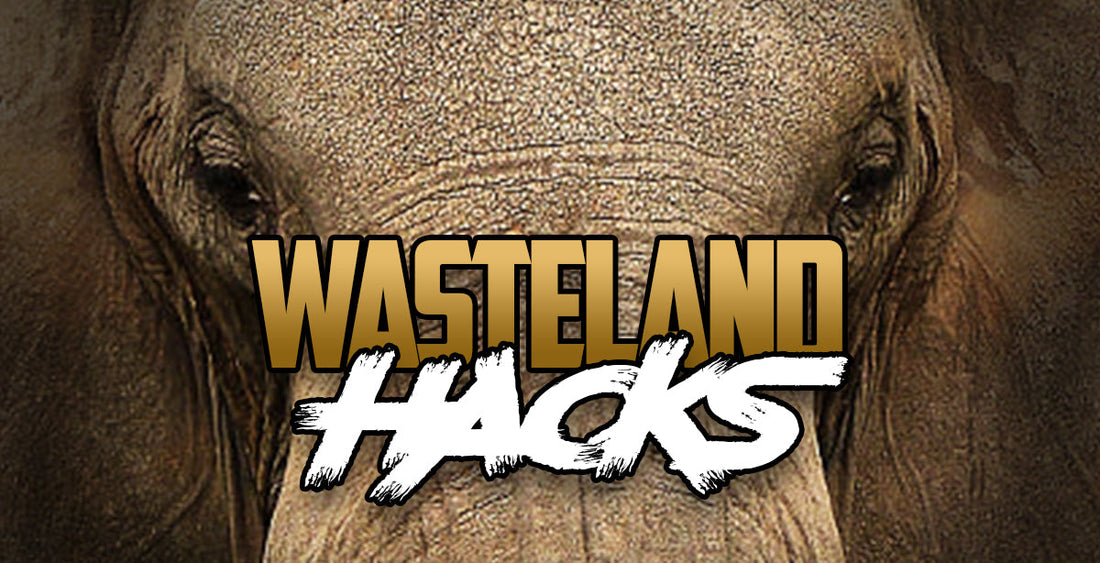 Wasteland Hacks: The Zoo, Loot It or Leave It?