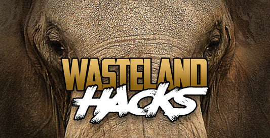 Wasteland Hacks: The Zoo, Loot It or Leave It?