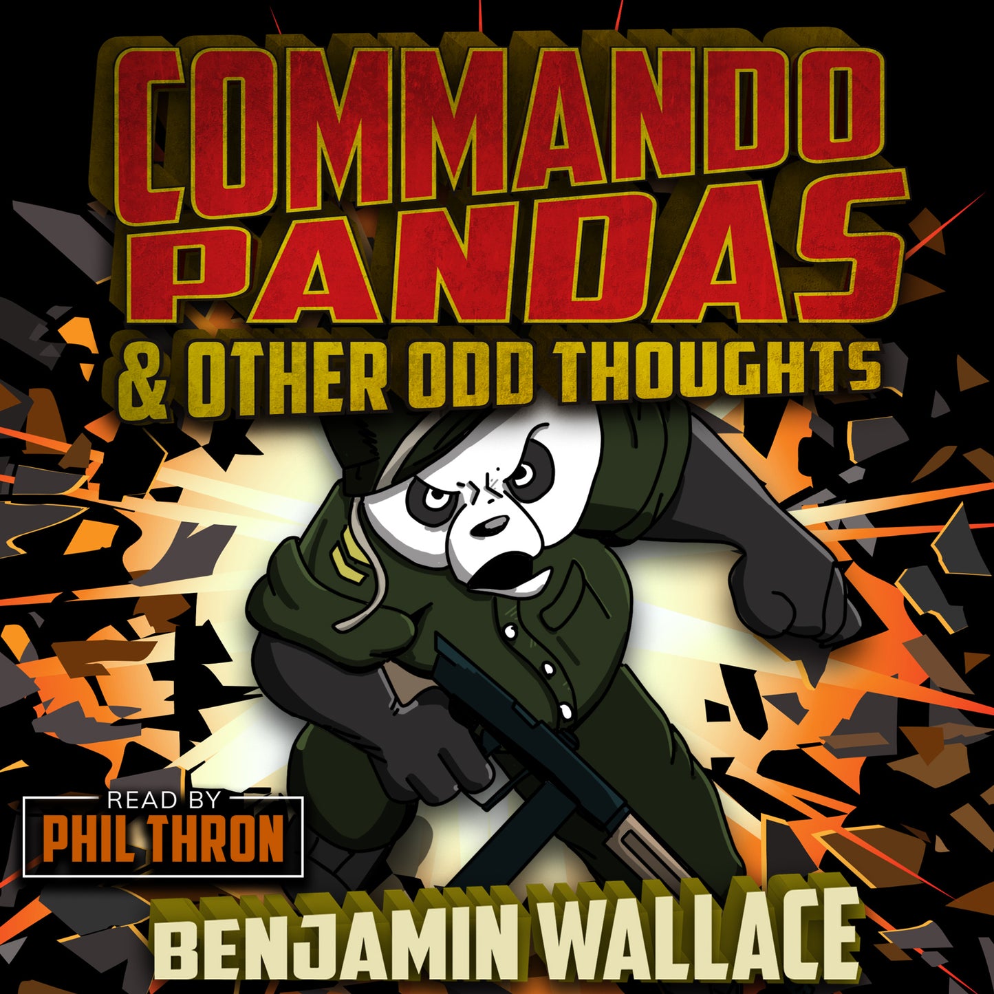 Commando Pandas & Other Odd Thoughts (Audiobook)
